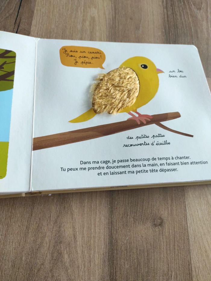 Livre : Mes animaux familiers à toucher - photo numéro 16