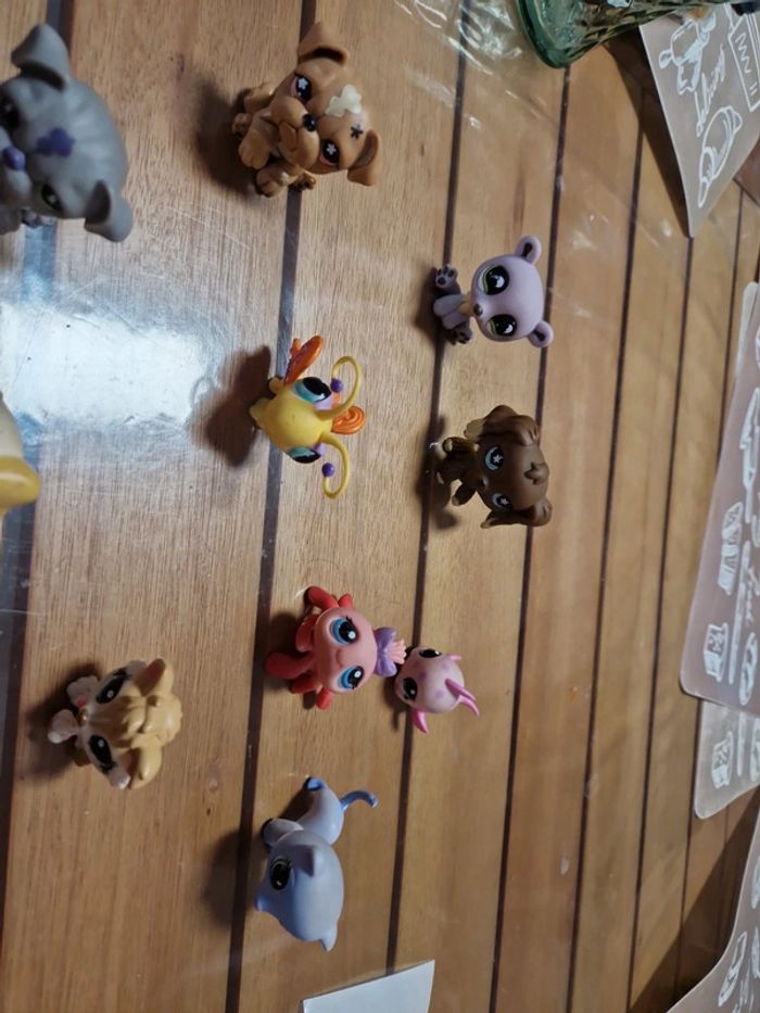 Lot petshop (7) - photo numéro 11