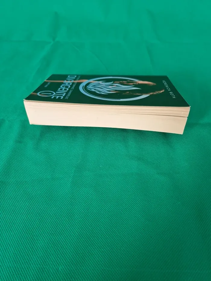 Divergente Tome 1 Veronica Roth - photo numéro 3