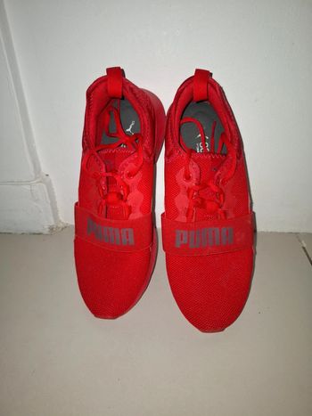 Puma 41
