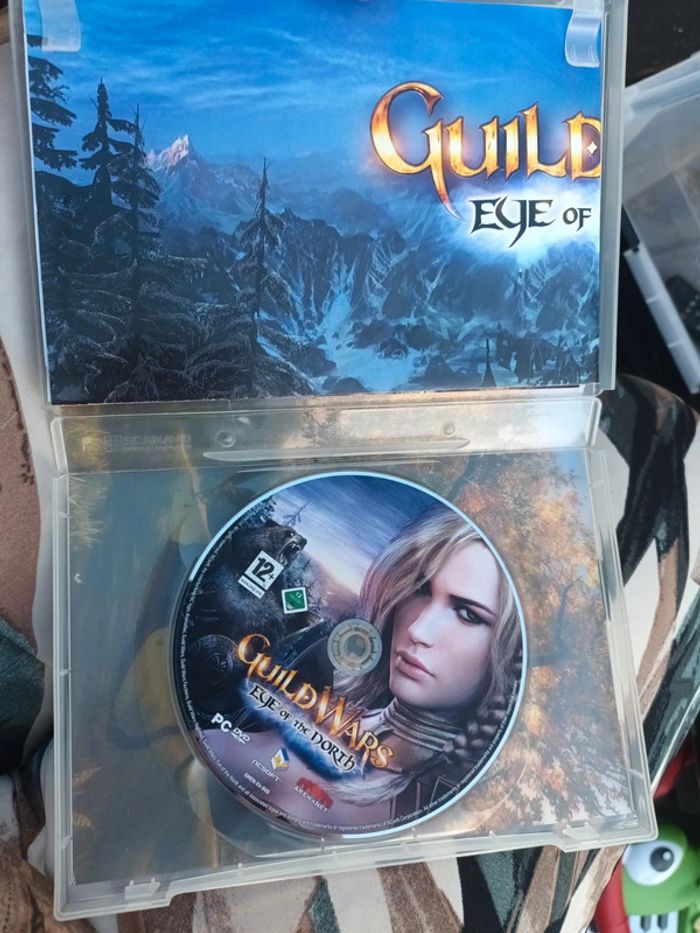 Jeu PC guildwars - photo numéro 3