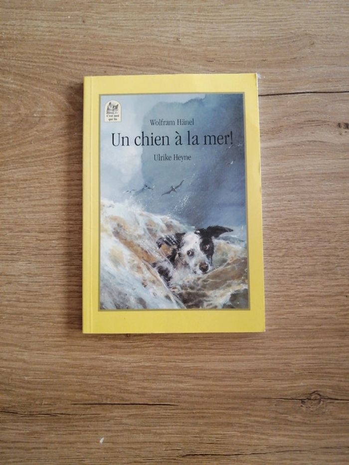 Roman un chien à la mer