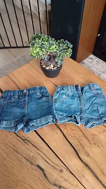 Lot shorts
