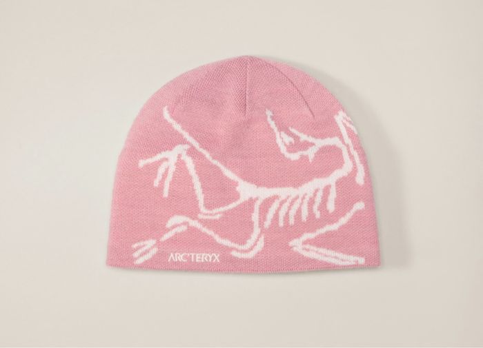 Bonnet Arc’teryx Bird head -  Bliss Pink / Artic Silk - photo numéro 2