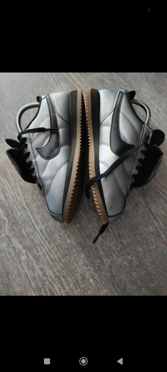 Cortez gris argenté - photo numéro 2