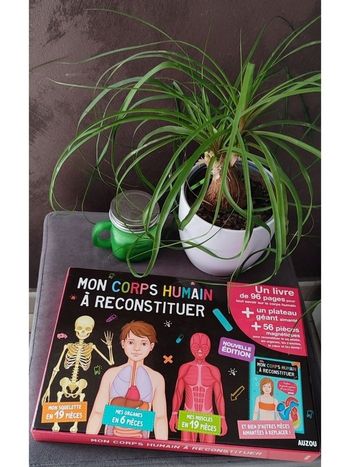 Mon corps humain à reconstituer Auzou