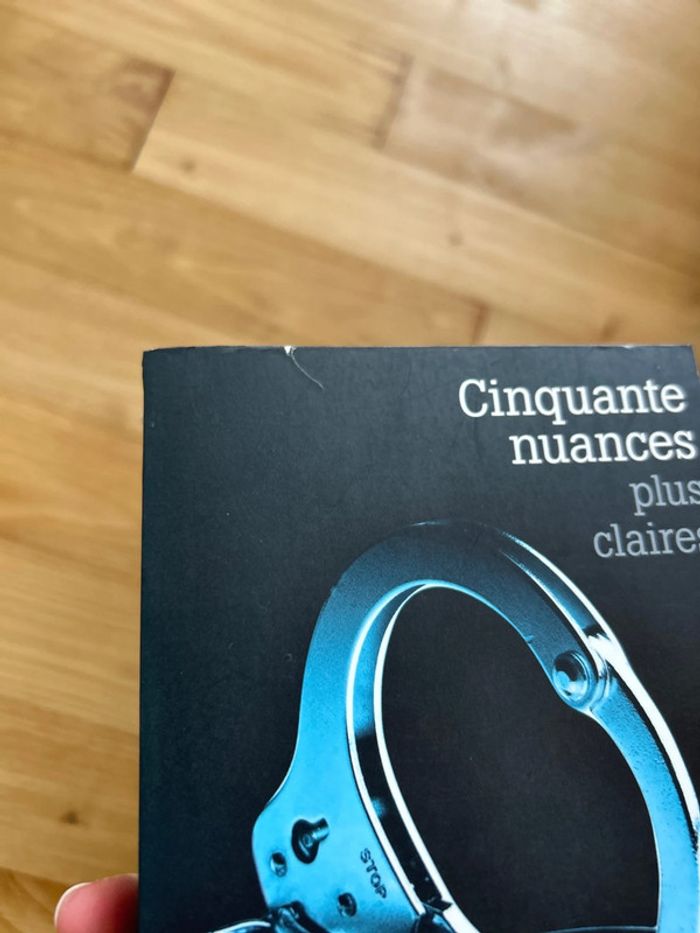 Roman Cinquante nuances plus claires - photo numéro 4