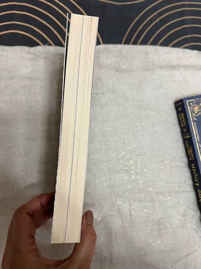 Lot livres - Arsène Lupin - photo numéro 4