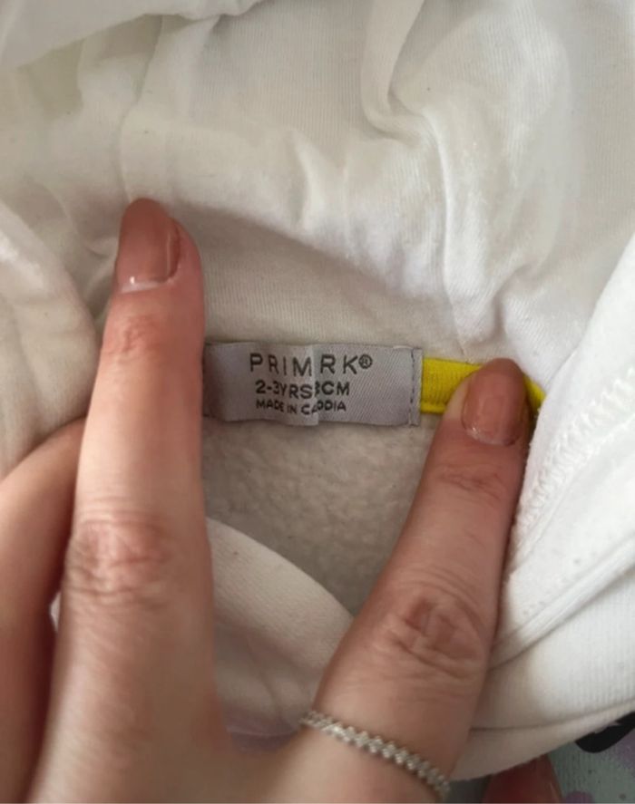 Pull à capuche fille 2-4 ans - photo numéro 2