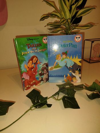 Deux livres Disney