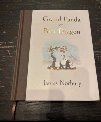 Livre grand panda et petit dragon 