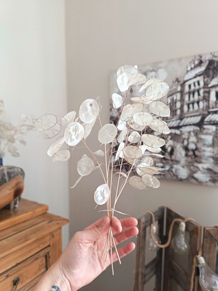 Fleurs séchées de mon jardin 💐 - photo numéro 3