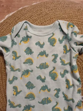 Bodie dinosaures