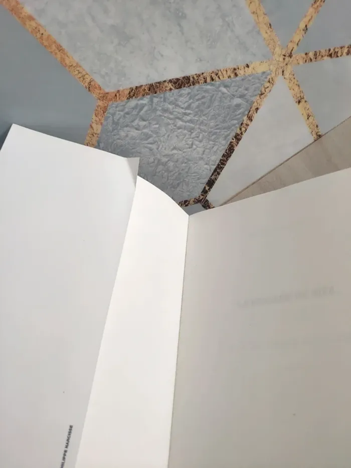 Livre grand format La brigade du rire Gérard Mordillat tragi-comédie - photo numéro 6