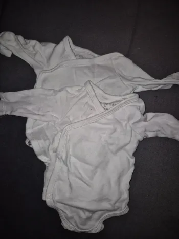 Lot 2 body