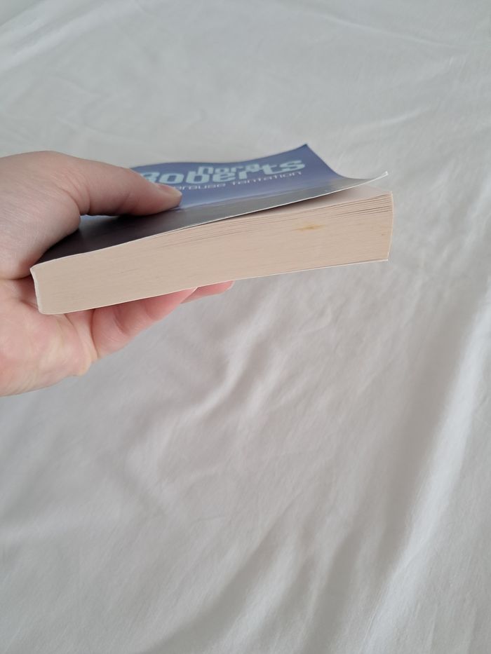 Livre Dangereuse tentation - photo numéro 5