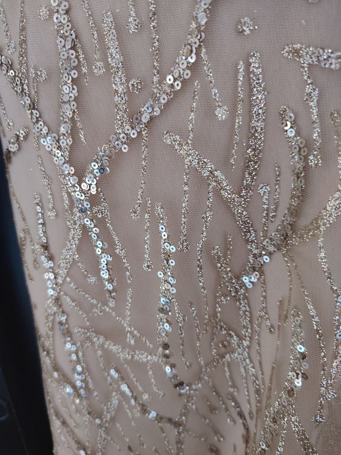 Robe - photo numéro 3