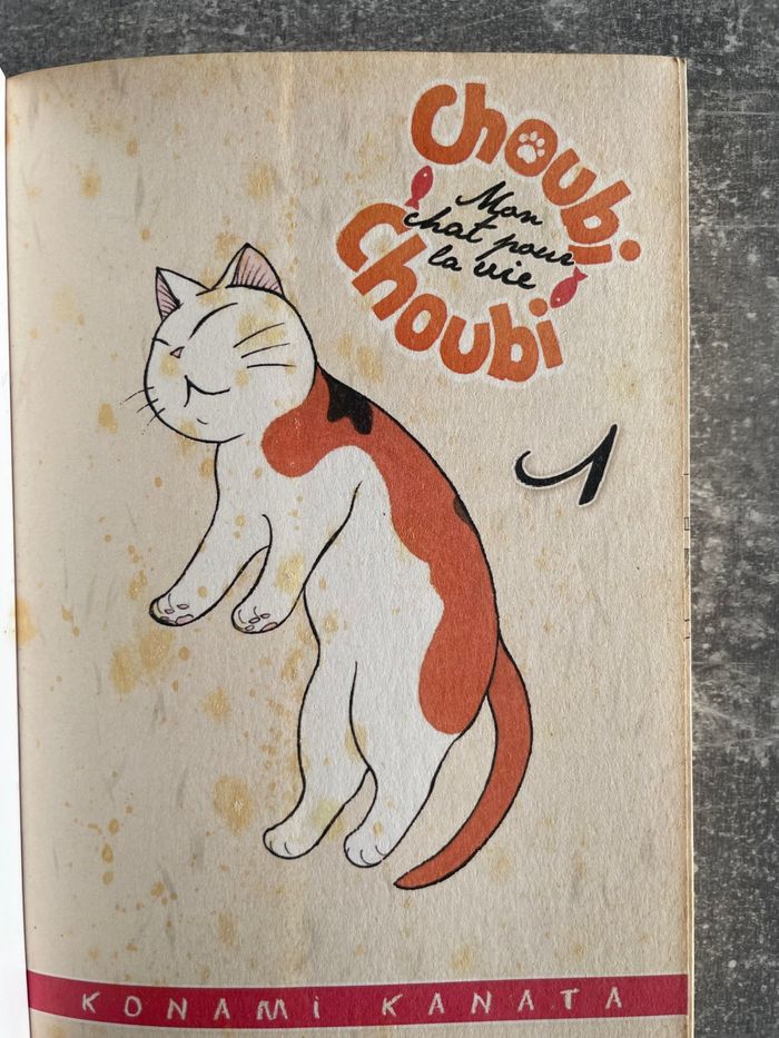 Manga Choubi choubi mon chat pour la vie tome 1 en version française. - photo numéro 3