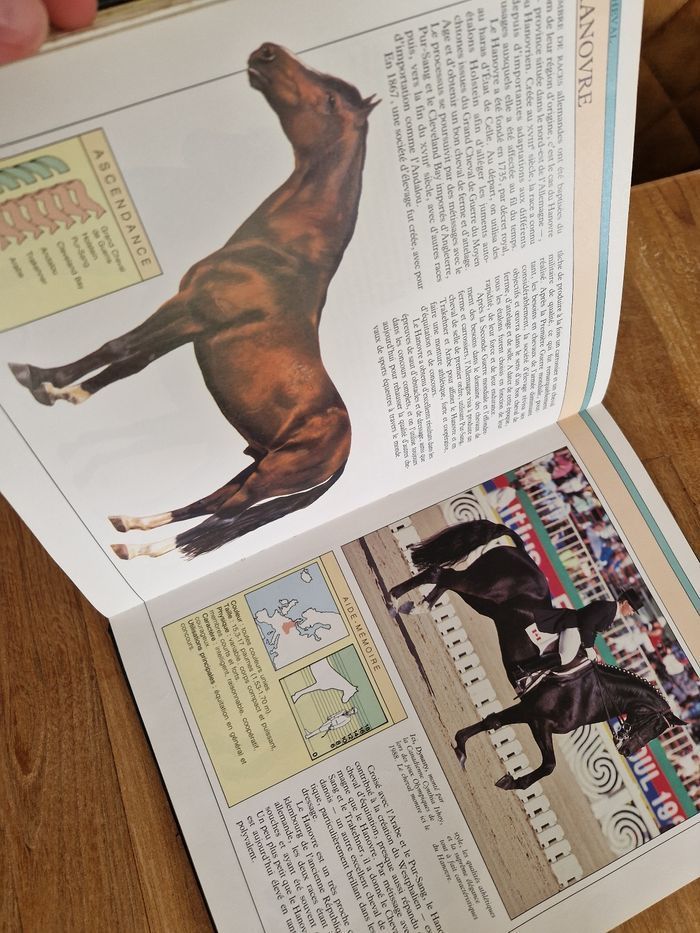 Le cheval - photo numéro 2