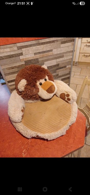 Fauteuil lion 