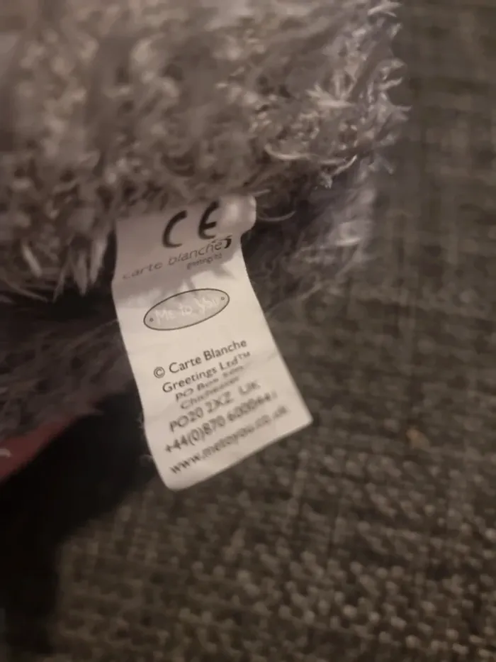 Petit nounours tout doux - photo numéro 3