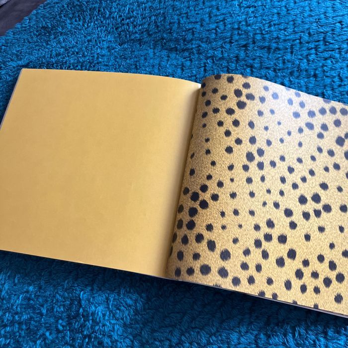 Livre origami Zoorigami - photo numéro 3