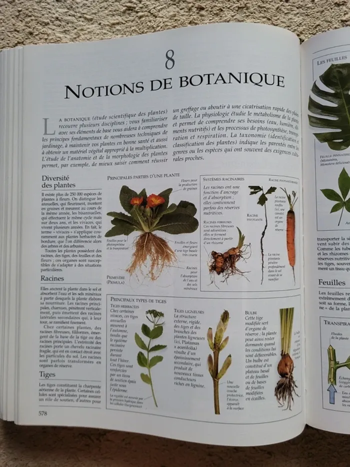 Encyclopédie pratique du jardinage - photo numéro 13