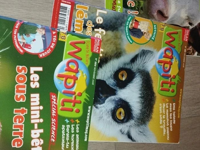 Lot de 7 magazines Wapiti année 2008-09 L025  7585218311 - photo numéro 8