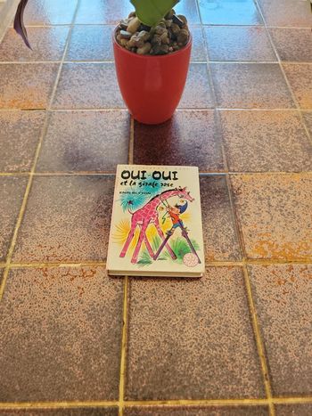 Oui Oui et la girafe rose