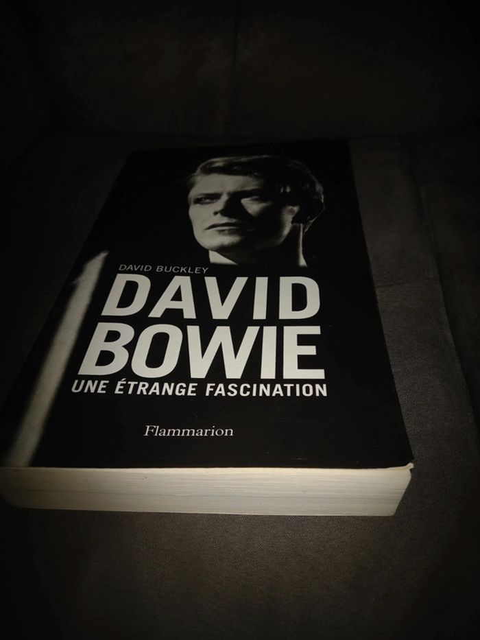 Livre David bowie une étrange fascination - photo numéro 2