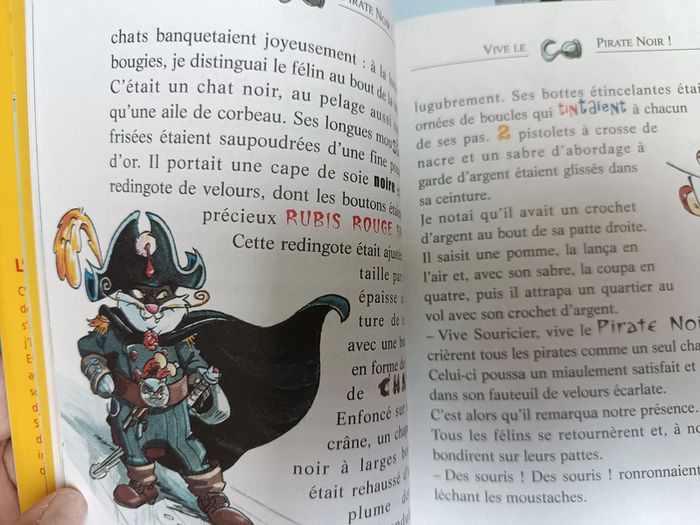 Livre Geronimo stilton 2 - photo numéro 3