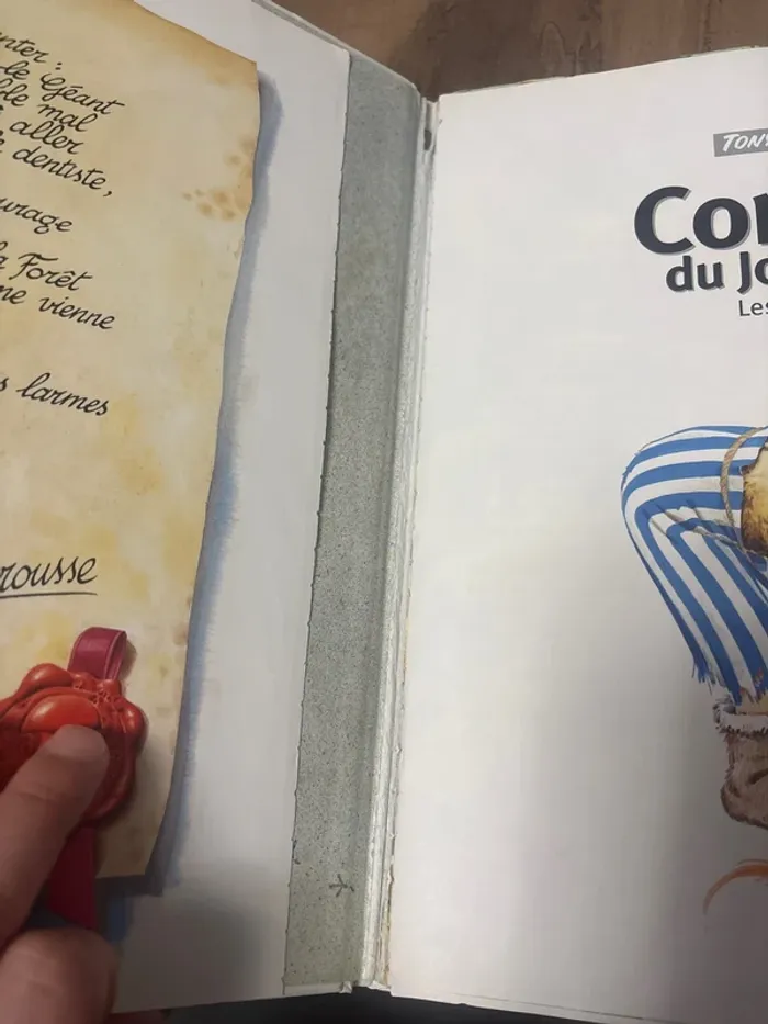 🛑 livre conte du joue Bois🛑 - photo numéro 4
