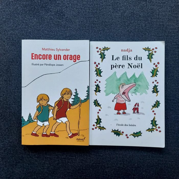 Lot 2 livres enfant