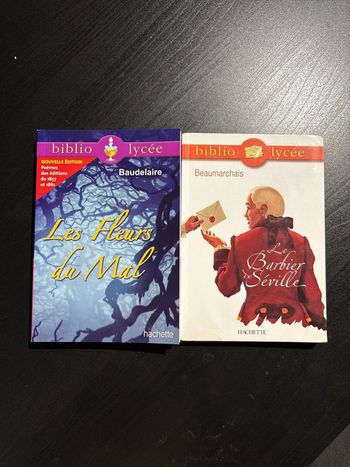 Collection Biblio lycée