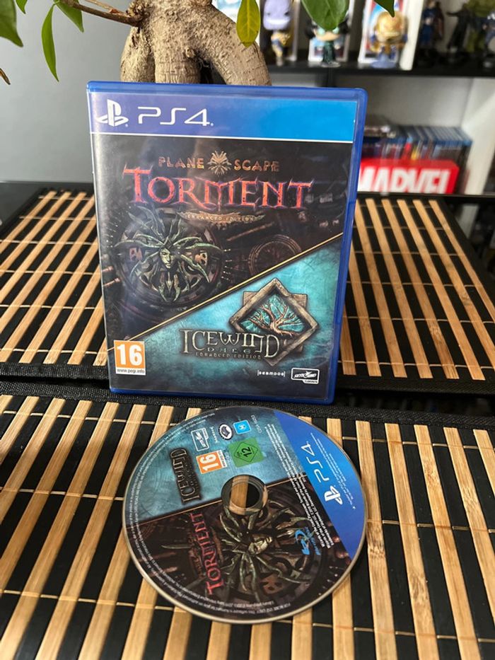 Jeu de ps4 torment icewind