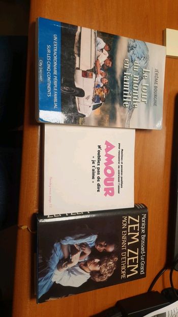 Lot 3 livres famille