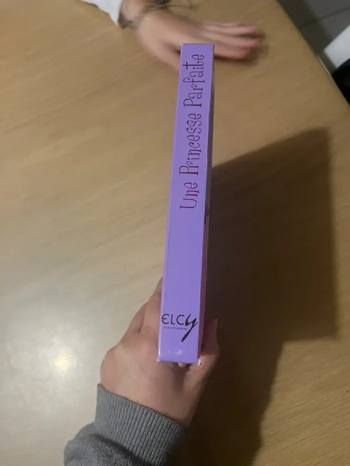 Livre princesse - photo numéro 6