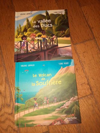 Lot livre Virginie grimaldi