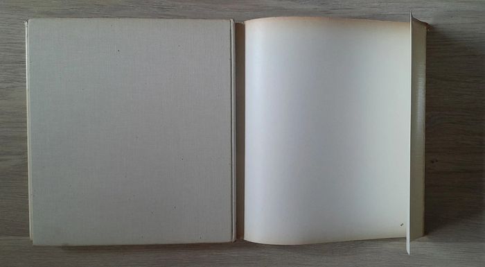 Faune des îles - photo numéro 9