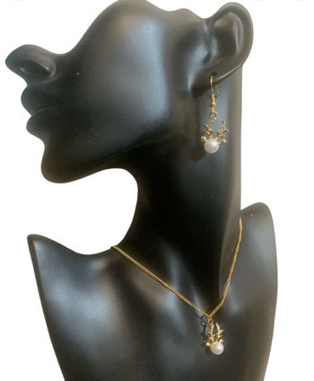 Parure de bijoux rennes