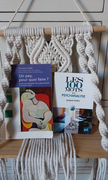Lot de 2 livres sur la psychanalyse Un psy pour quoi faire et les 100 mots de la psychanalyse