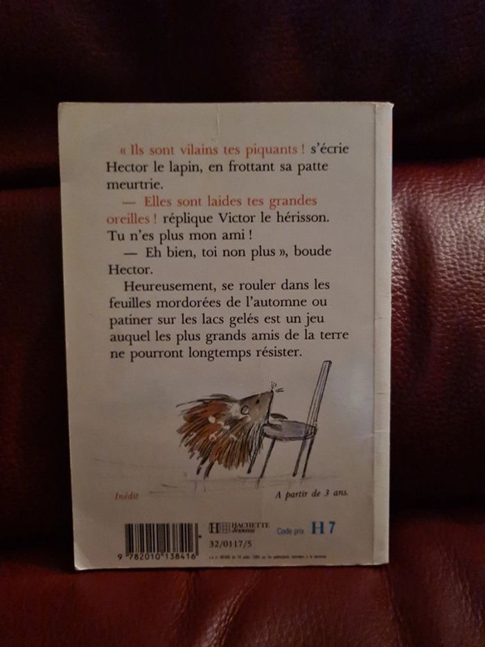 Hector et Victor - Glissades en hiver - photo numéro 2