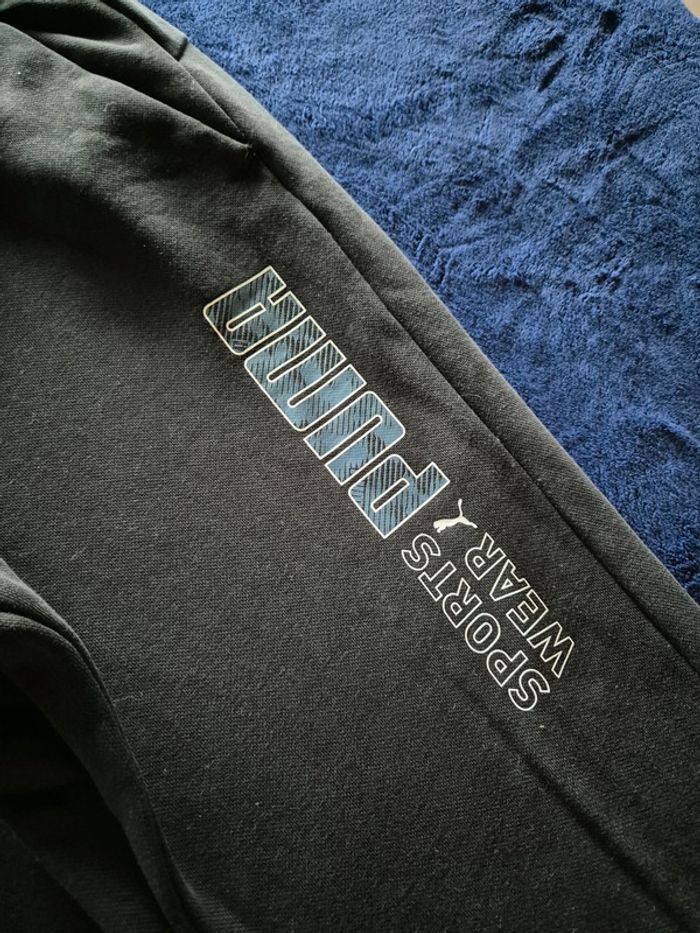 Training puma - photo numéro 2