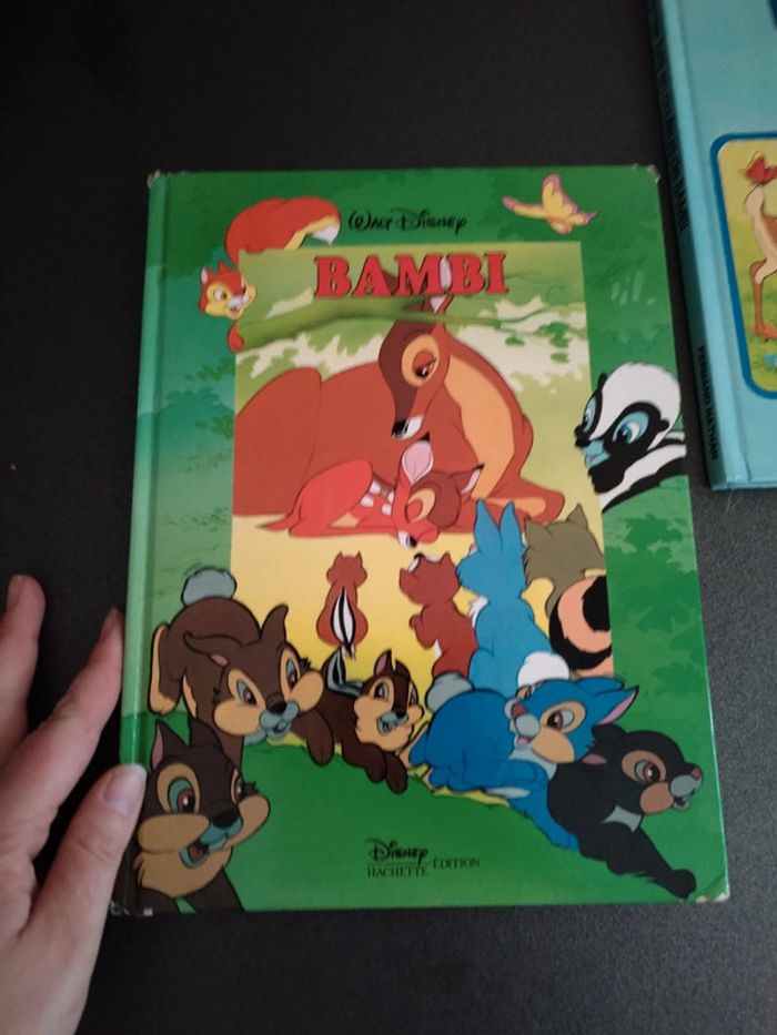 Lot livres disney - photo numéro 9