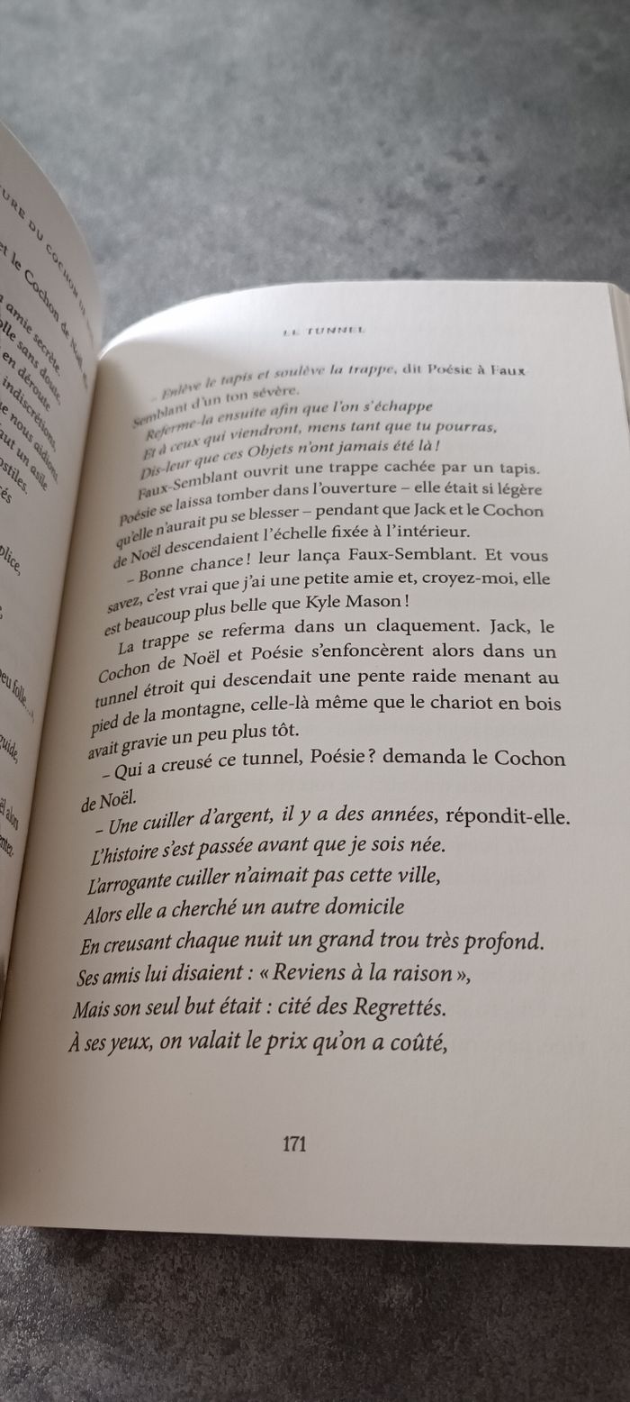 Livre le cochon de Noël - photo numéro 3