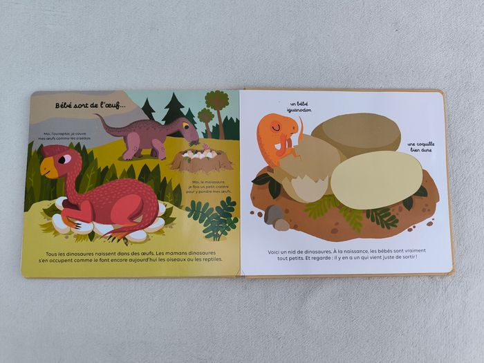 Livre Les dinosaures Milan - photo numéro 6