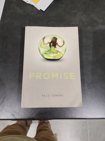 Livre : Promise