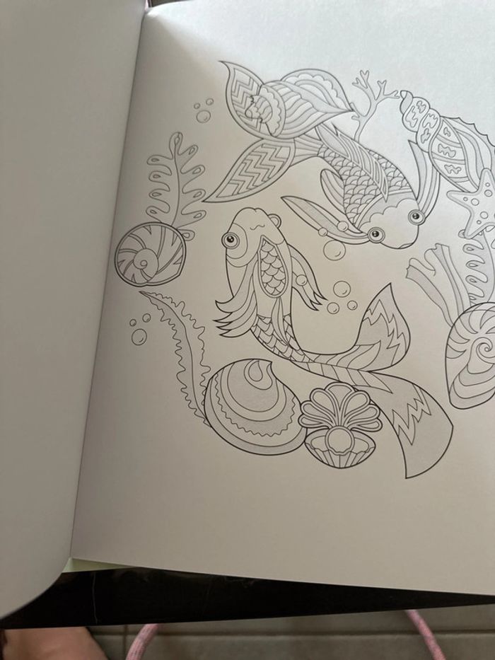 Lot cahier de coloriage - photo numéro 10