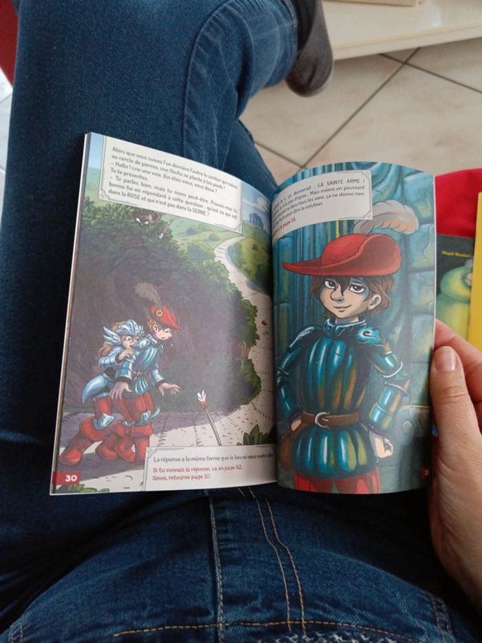 Livre énigme Le dragon et le mont brûle sang - photo numéro 3