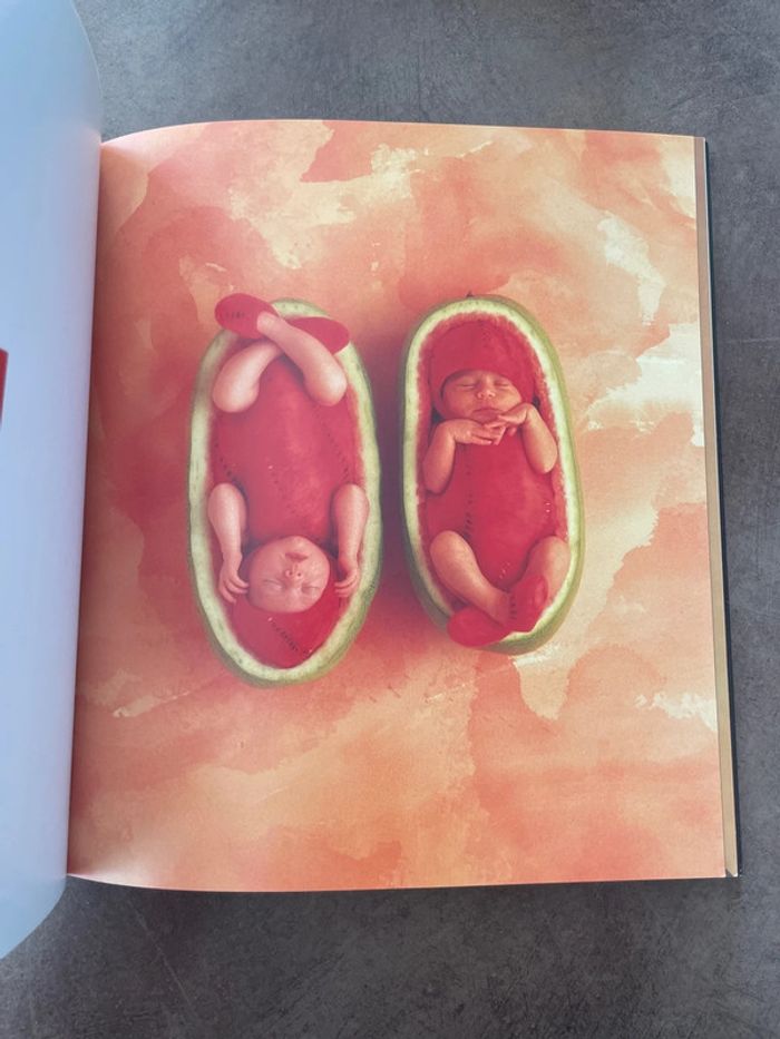 Anne Geddes un monde d’enfants - photo numéro 2